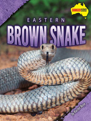 cover image of Eastern Brown Snake